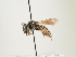  ( - ORBIT_0028)  @11 [ ] nrr (2023) Unspecified Thomas Wood
