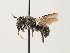  ( - ORBIT_0044)  @11 [ ] nrr (2023) Unspecified Thomas Wood