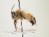  ( - ORBIT_0063)  @11 [ ] nrr (2023) Unspecified Thomas Wood
