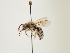  ( - ORBIT_0071)  @11 [ ] nrr (2023) Unspecified Thomas Wood