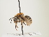  ( - ORBIT_0074)  @11 [ ] nrr (2023) Unspecified Thomas Wood