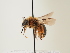  ( - ORBIT_0083)  @11 [ ] nrr (2023) Unspecified Thomas Wood