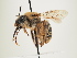  ( - ORBIT_0087)  @11 [ ] nrr (2023) Unspecified Thomas Wood