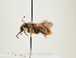  ( - ORBIT_0088)  @11 [ ] nrr (2023) Unspecified Thomas Wood