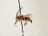  ( - ORBIT_0089)  @11 [ ] nrr (2023) Unspecified Thomas Wood