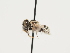  ( - ORBIT_0096)  @11 [ ] nrr (2023) Unspecified Thomas Wood