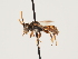  ( - ORBIT_0117)  @11 [ ] nrr (2023) Unspecified Thomas Wood