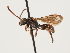  ( - ORBIT_0119)  @11 [ ] nrr (2023) Unspecified Thomas Wood