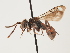  ( - ORBIT_0121)  @11 [ ] nrr (2023) Unspecified Thomas Wood