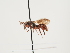  ( - ORBIT_0124)  @11 [ ] nrr (2023) Unspecified Thomas Wood