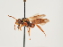  ( - ORBIT_0134)  @11 [ ] nrr (2023) Unspecified Thomas Wood