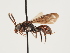  ( - ORBIT_0137)  @11 [ ] nrr (2023) Unspecified Thomas Wood
