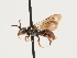  ( - ORBIT_0139)  @11 [ ] nrr (2023) Unspecified Thomas Wood
