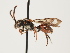  ( - ORBIT_0144)  @11 [ ] nrr (2023) Unspecified Thomas Wood