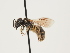  ( - ORBIT_0160)  @11 [ ] nrr (2023) Unspecified Thomas Wood
