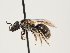  ( - ORBIT_0164)  @11 [ ] nrr (2023) Unspecified Thomas Wood