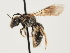  ( - ORBIT_0176)  @11 [ ] nrr (2023) Unspecified Thomas Wood