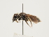  ( - ORBIT_0184)  @11 [ ] nrr (2023) Unspecified Thomas Wood
