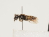  ( - ORBIT_0185)  @11 [ ] nrr (2023) Unspecified Thomas Wood