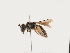  ( - ORBIT_0188)  @11 [ ] nrr (2023) Unspecified Thomas Wood