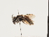  ( - ORBIT_0189)  @11 [ ] nrr (2023) Unspecified Thomas Wood