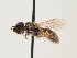  ( - ORBIT_0212)  @11 [ ] nrr (2023) Unspecified Thomas Wood