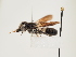  ( - ORBIT_0214)  @11 [ ] nrr (2023) Unspecified Thomas Wood
