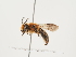  ( - ORBIT_0251)  @11 [ ] nrr (2023) Unspecified Thomas Wood