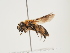 ( - ORBIT_0252)  @11 [ ] nrr (2023) Unspecified Thomas Wood