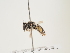  ( - ORBIT_0254)  @11 [ ] nrr (2023) Unspecified Thomas Wood