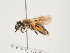  ( - ORBIT_0256)  @11 [ ] nrr (2023) Unspecified Thomas Wood