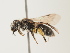  ( - ORBIT_0266)  @11 [ ] nrr (2023) Unspecified Thomas Wood