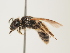  ( - ORBIT_0268)  @11 [ ] nrr (2023) Unspecified Thomas Wood