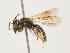  ( - ORBIT_0275)  @11 [ ] nrr (2023) Unspecified Thomas Wood