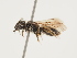  ( - ORBIT_0278)  @11 [ ] nrr (2023) Unspecified Thomas Wood