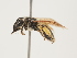  ( - ORBIT_0280)  @11 [ ] nrr (2023) Unspecified Thomas Wood