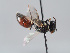  ( - ORBIT_0289)  @11 [ ] nrr (2023) Unspecified Romain Le Divelec