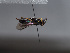  ( - ORBIT_0346)  @11 [ ] nrr (2023) Unspecified Romain Le Divelec