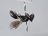 ( - ORBIT_0385)  @11 [ ] nrr (2023) Unspecified Romain Le Divelec