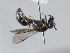  ( - ORBIT_0386)  @11 [ ] nrr (2023) Unspecified Romain Le Divelec