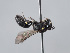  ( - ORBIT_0388)  @11 [ ] nrr (2023) Unspecified Romain Le Divelec