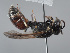  ( - ORBIT_0404)  @11 [ ] nrr (2023) Unspecified Romain Le Divelec