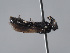  ( - ORBIT_0407)  @11 [ ] nrr (2023) Unspecified Romain Le Divelec
