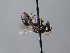  ( - ORBIT_0435)  @11 [ ] nrr (2023) Unspecified Romain Le Divelec