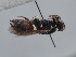  ( - ORBIT_0457)  @11 [ ] nrr (2023) Unspecified Romain Le Divelec