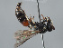  ( - ORBIT_0460)  @11 [ ] nrr (2023) Unspecified Romain Le Divelec