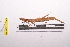  ( - LopeORT14-140)  @13 [ ] CreativeCommons - Attribution Non-Commercial Share-Alike (2014) Nicolas Moulin Nicolas Moulin entomologie