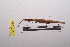  ( - LopeORT14-191)  @13 [ ] CreativeCommons - Attribution Non-Commercial Share-Alike (2014) Nicolas Moulin Nicolas Moulin entomologie