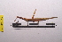  ( - LopeORT14-207)  @12 [ ] CreativeCommons - Attribution Non-Commercial Share-Alike (2014) Nicolas Moulin Nicolas Moulin entomologie