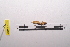  ( - LopeORT14-251)  @12 [ ] CreativeCommons - Attribution Non-Commercial Share-Alike (2014) Nicolas Moulin Nicolas Moulin entomologie